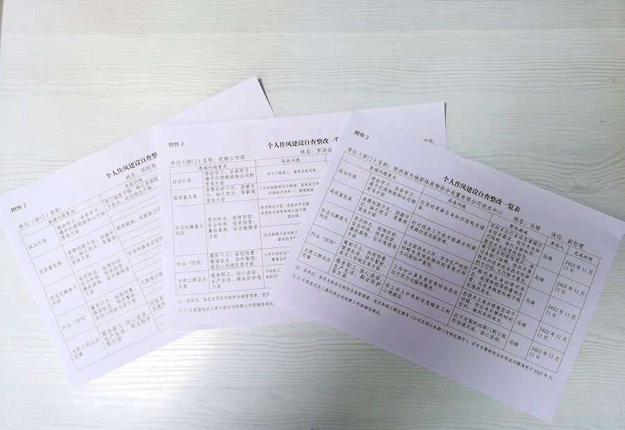 4黨員作風(fēng)自查自糾，填寫《個(gè)人作風(fēng)建設(shè)自查整改一覽表》.jpg